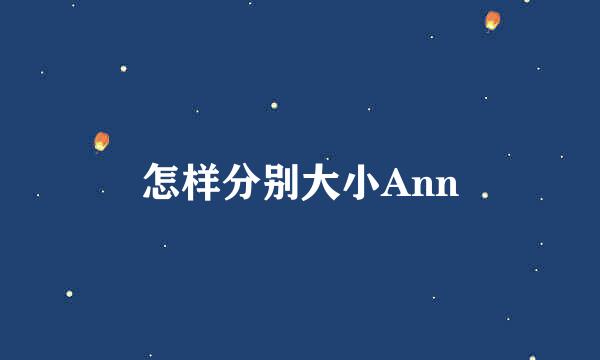 怎样分别大小Ann