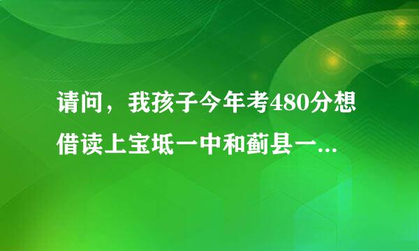 请问，我孩子今年考480分想借读上宝坻一中和蓟县一中，应上哪个中学好？