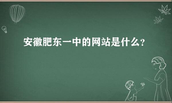 安徽肥东一中的网站是什么？