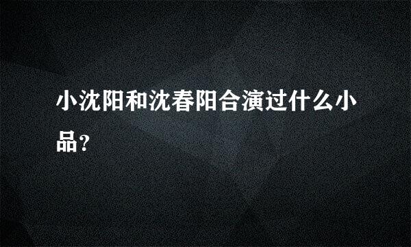 小沈阳和沈春阳合演过什么小品？