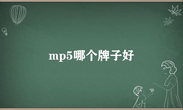 mp5哪个牌子好