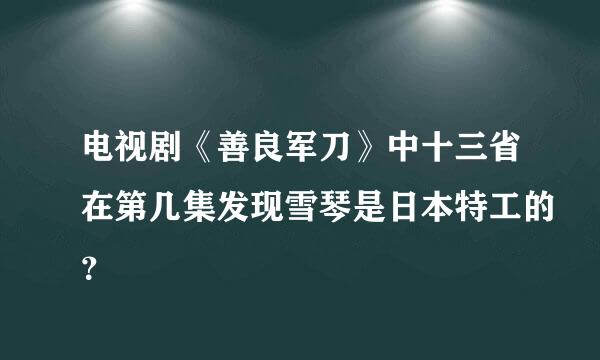 电视剧《善良军刀》中十三省在第几集发现雪琴是日本特工的？