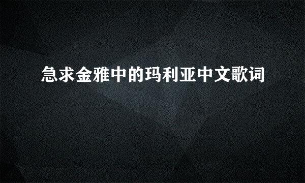 急求金雅中的玛利亚中文歌词