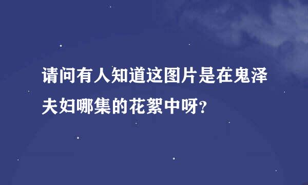 请问有人知道这图片是在鬼泽夫妇哪集的花絮中呀？