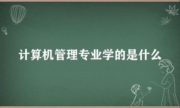 计算机管理专业学的是什么