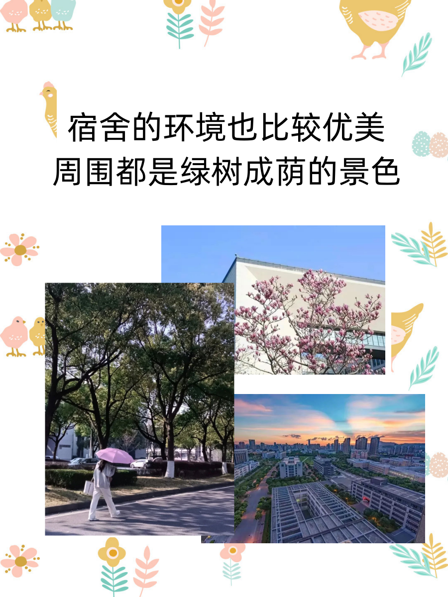 湖州学院的宿舍条件怎么样