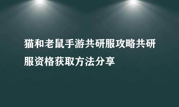 猫和老鼠手游共研服攻略共研服资格获取方法分享