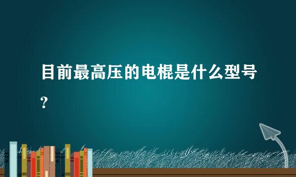 目前最高压的电棍是什么型号？