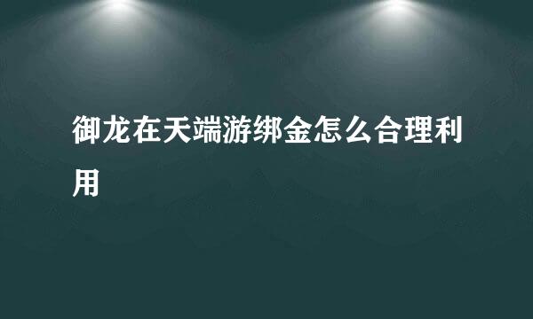 御龙在天端游绑金怎么合理利用