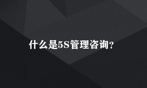 什么是5S管理咨询？