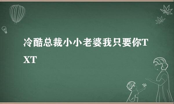 冷酷总裁小小老婆我只要你TXT