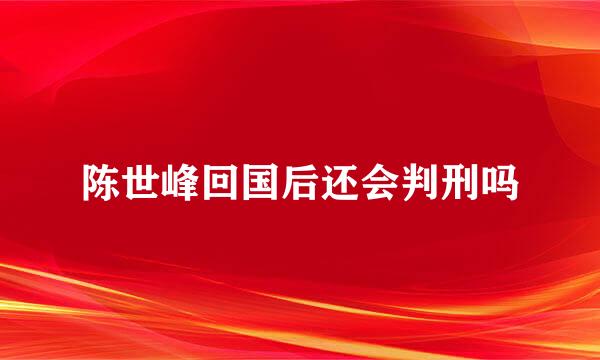 陈世峰回国后还会判刑吗