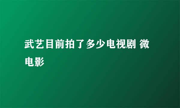 武艺目前拍了多少电视剧 微电影