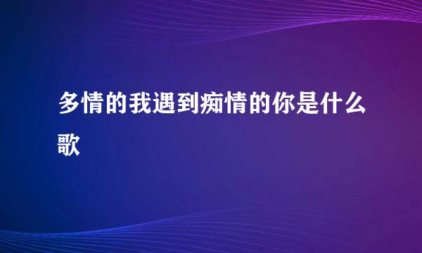 多情的我遇到痴情的你是什么歌