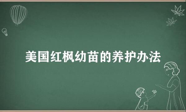 美国红枫幼苗的养护办法