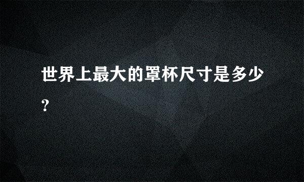 世界上最大的罩杯尺寸是多少？