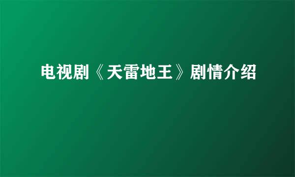 电视剧《天雷地王》剧情介绍