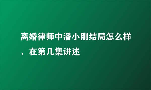 离婚律师中潘小刚结局怎么样，在第几集讲述