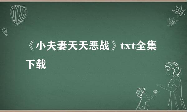 《小夫妻天天恶战》txt全集下载