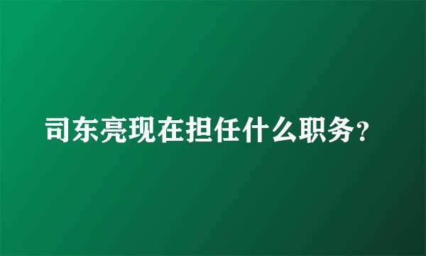 司东亮现在担任什么职务？