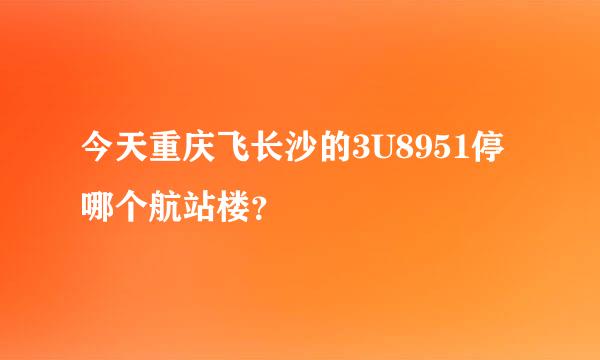 今天重庆飞长沙的3U8951停哪个航站楼？