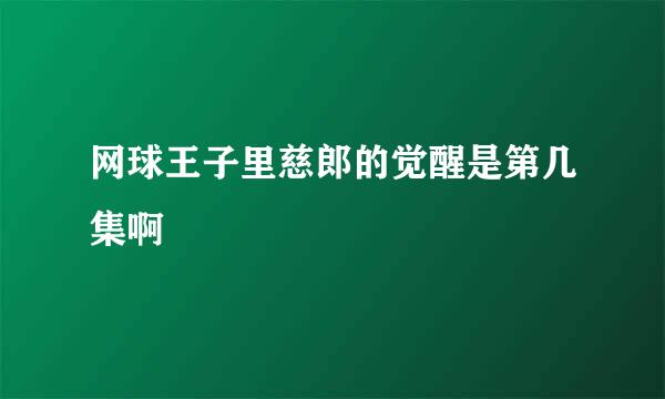 网球王子里慈郎的觉醒是第几集啊