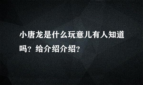 小唐龙是什么玩意儿有人知道吗？给介绍介绍？