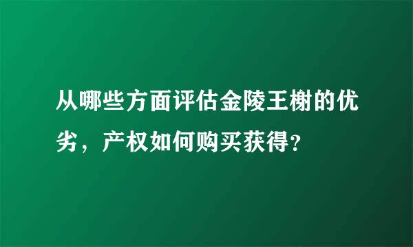 从哪些方面评估金陵王榭的优劣，产权如何购买获得？