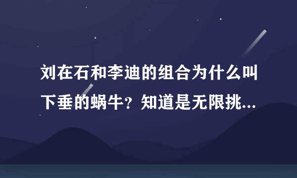 刘在石和李迪的组合为什么叫下垂的蜗牛？知道是无限挑战歌谣祭时起的名~是什么意思啊