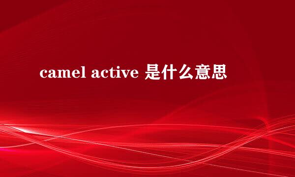 camel active 是什么意思