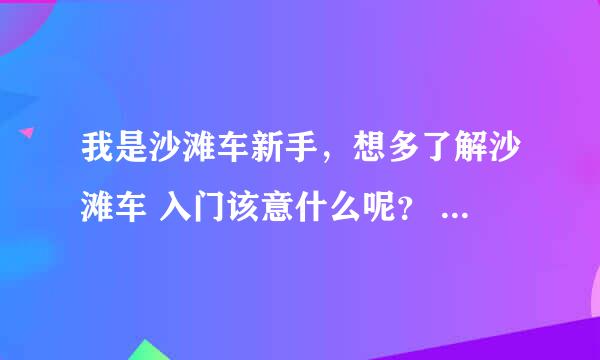 我是沙滩车新手，想多了解沙滩车 入门该意什么呢？ 急！求解