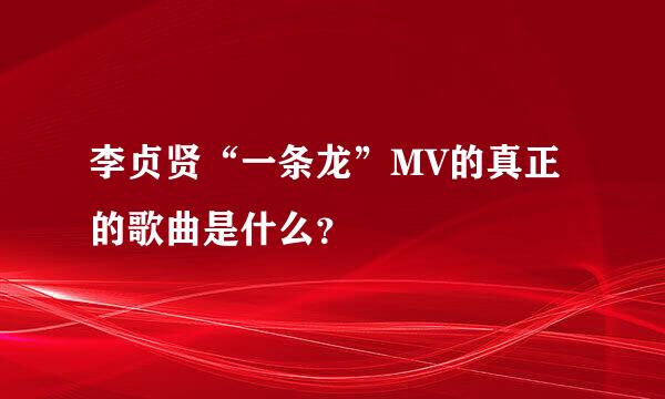 李贞贤“一条龙”MV的真正的歌曲是什么？