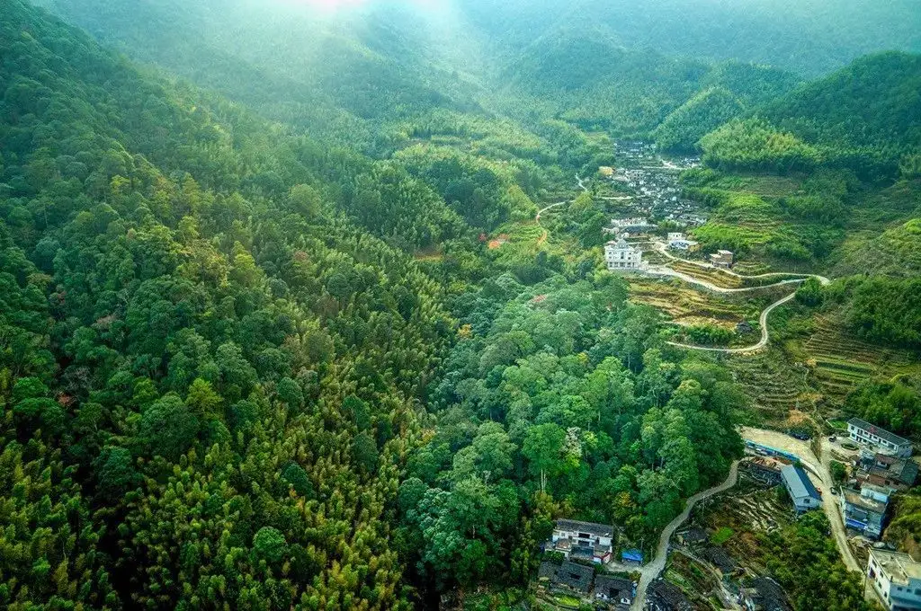 福建天宝岩发现全球新物种，为何福建经常发现新物种？