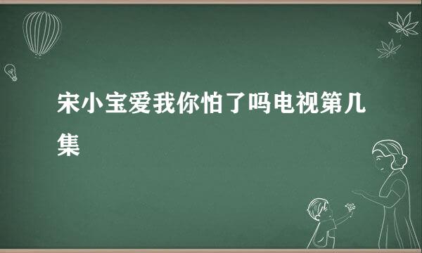 宋小宝爱我你怕了吗电视第几集