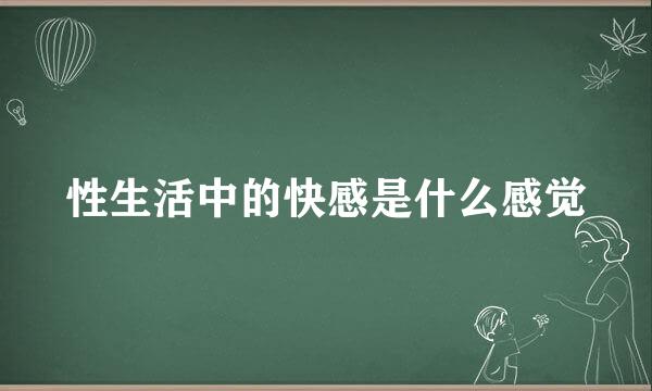 性生活中的快感是什么感觉