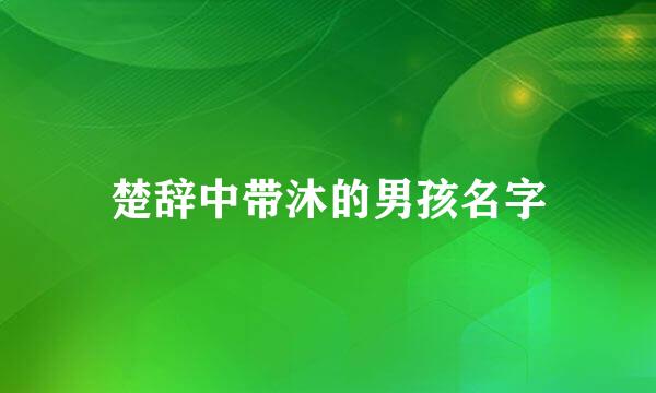 楚辞中带沐的男孩名字