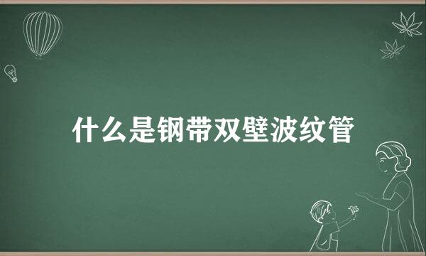 什么是钢带双壁波纹管