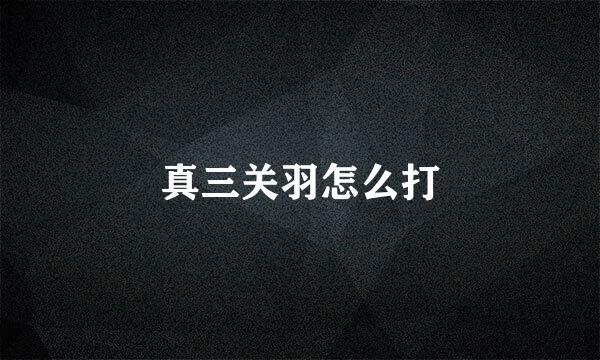 真三关羽怎么打