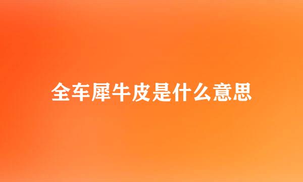 全车犀牛皮是什么意思