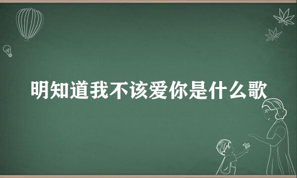 明知道我不该爱你是什么歌