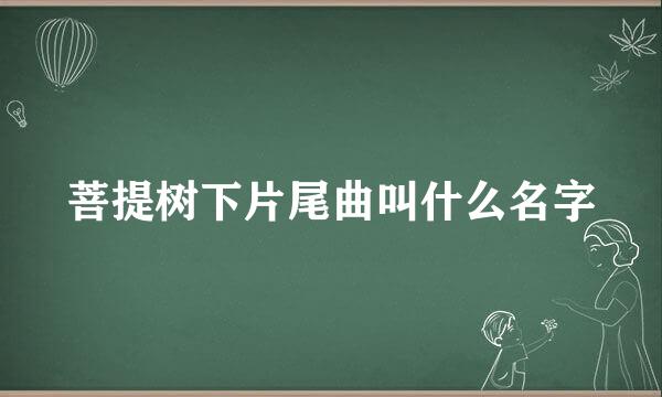 菩提树下片尾曲叫什么名字