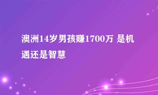 澳洲14岁男孩赚1700万 是机遇还是智慧