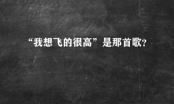 “我想飞的很高”是那首歌？