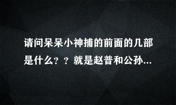 请问呆呆小神捕的前面的几部是什么？？就是赵普和公孙回逍遥岛之前的故事，有猫鼠赵普公孙和小四子