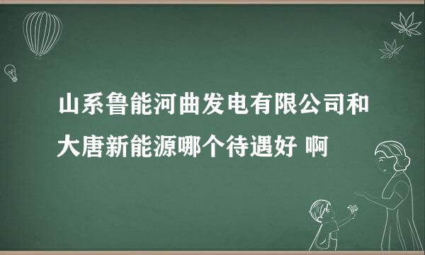 山系鲁能河曲发电有限公司和大唐新能源哪个待遇好 啊