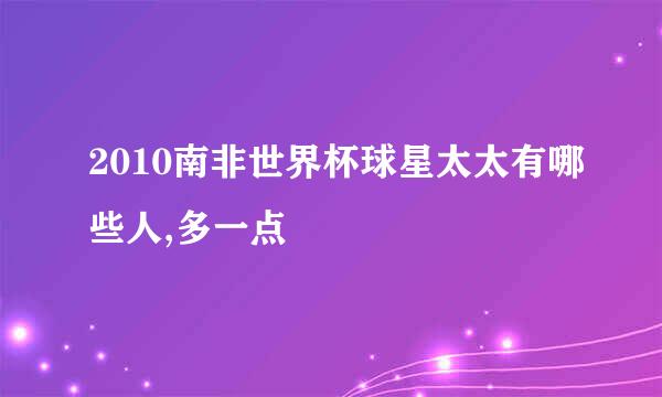 2010南非世界杯球星太太有哪些人,多一点