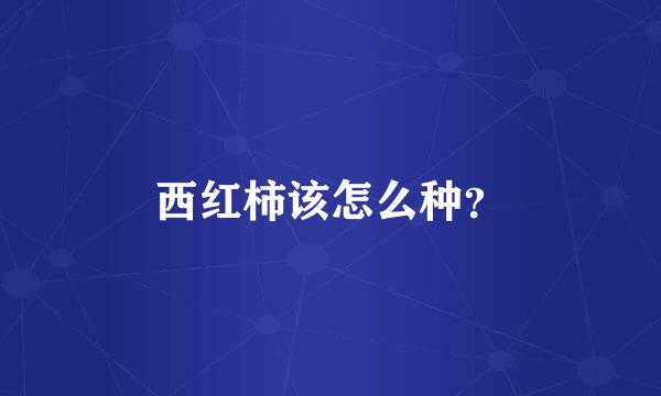 西红柿该怎么种？