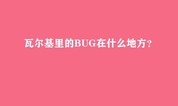 瓦尔基里的BUG在什么地方？