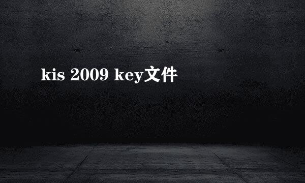 kis 2009 key文件