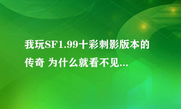 我玩SF1.99十彩刺影版本的传奇 为什么就看不见功能服务这一个NPC 急求